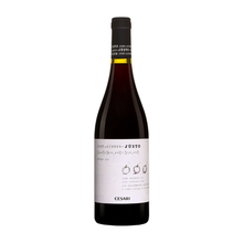  CESARI JUSTO RED 750