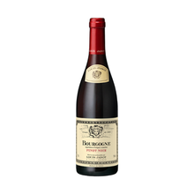  JADOT BOURG PINOT NOIR 750