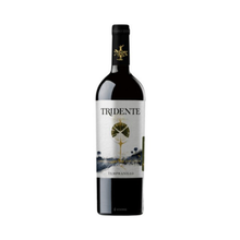  TRIDENTE TEMPRANILLO  2017