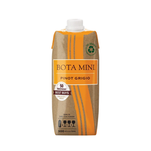  BOTA BOX  GRIGIO TETRA 500ML